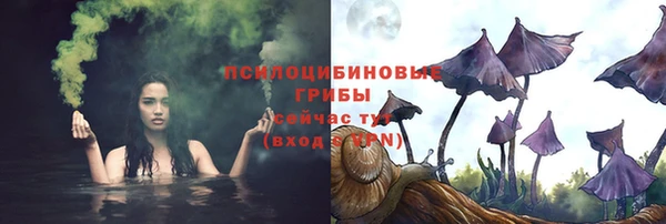 spice Медногорск